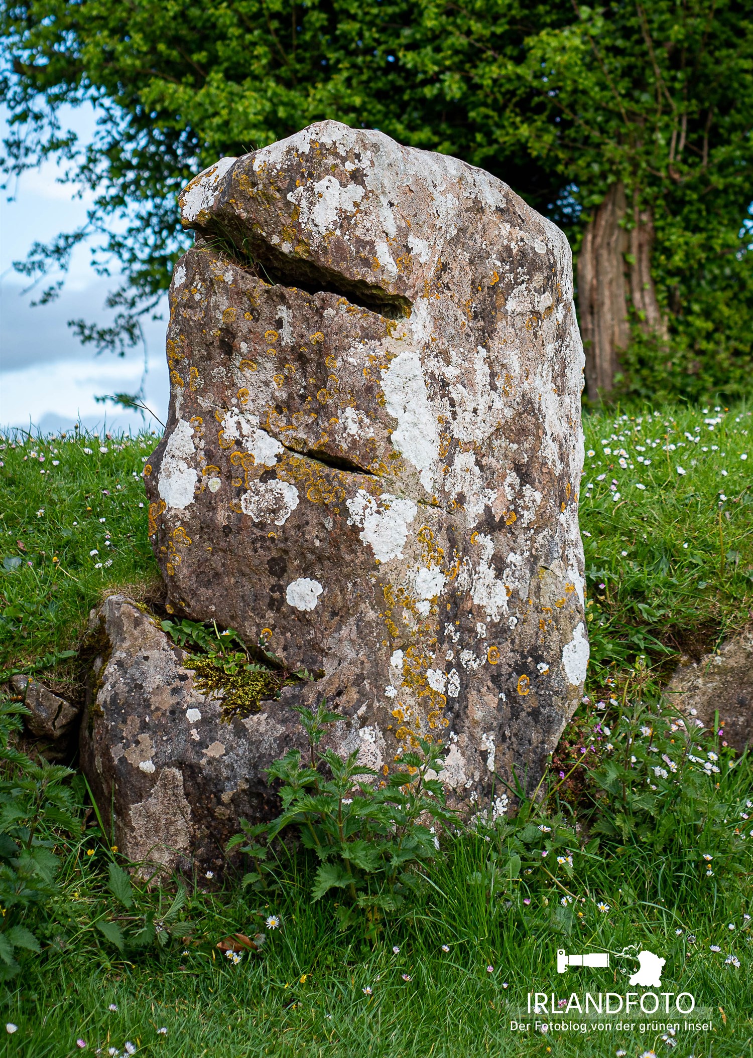 Steinkreis von Grange